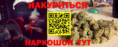 сатива Аргун
