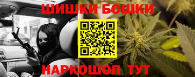 сатива Аргун
