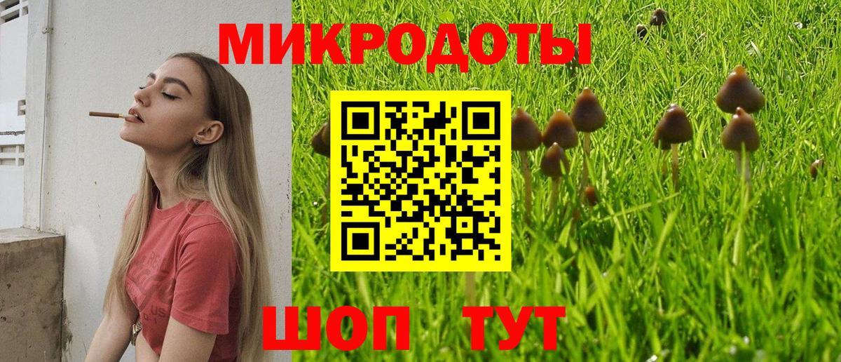 Галлюциногенные грибы Psilocybe Белебей