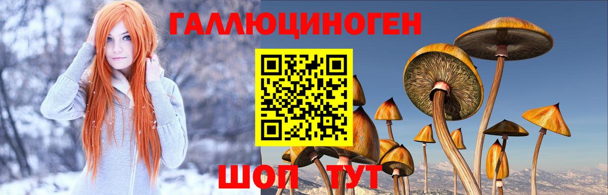 где купить наркотик  Вход с VPN  Белебей  Псилоцибиновые грибы Magic Shrooms  Псилоцибиновые грибы мухоморы 